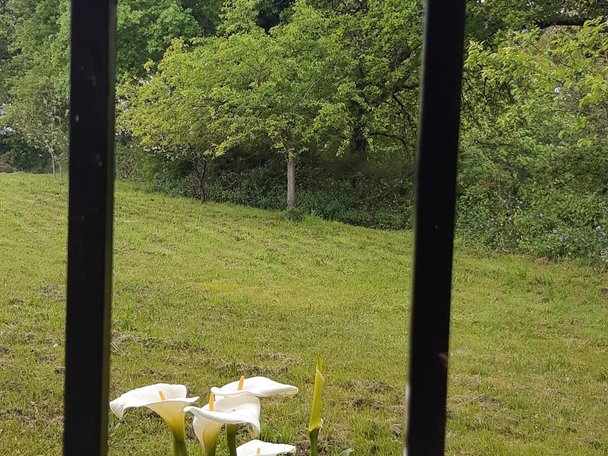Casa De Corbelle Villa Muimenta Dış mekan fotoğraf